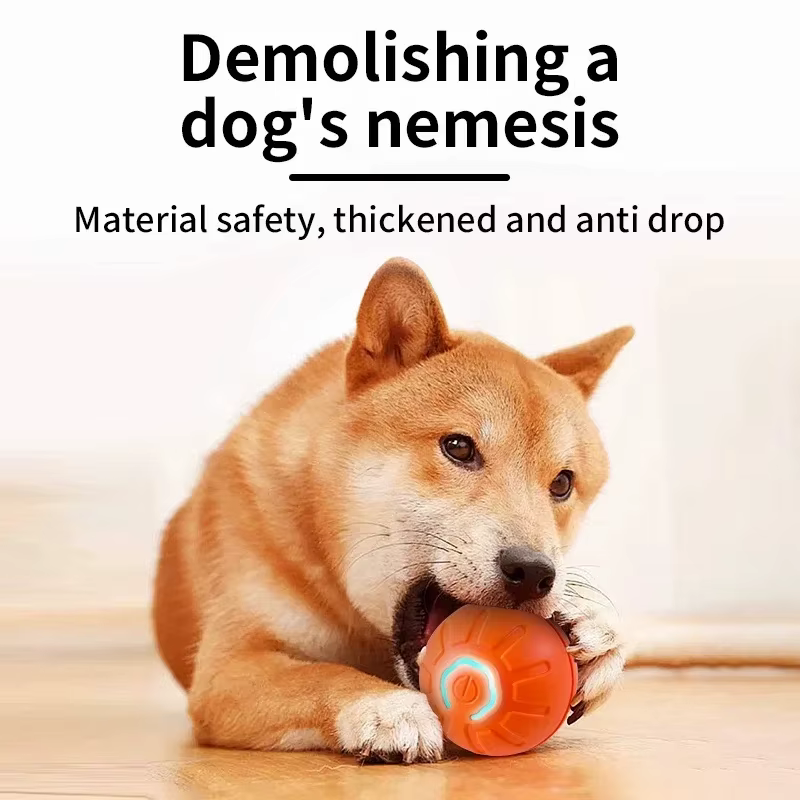 Interactive Dog Ball